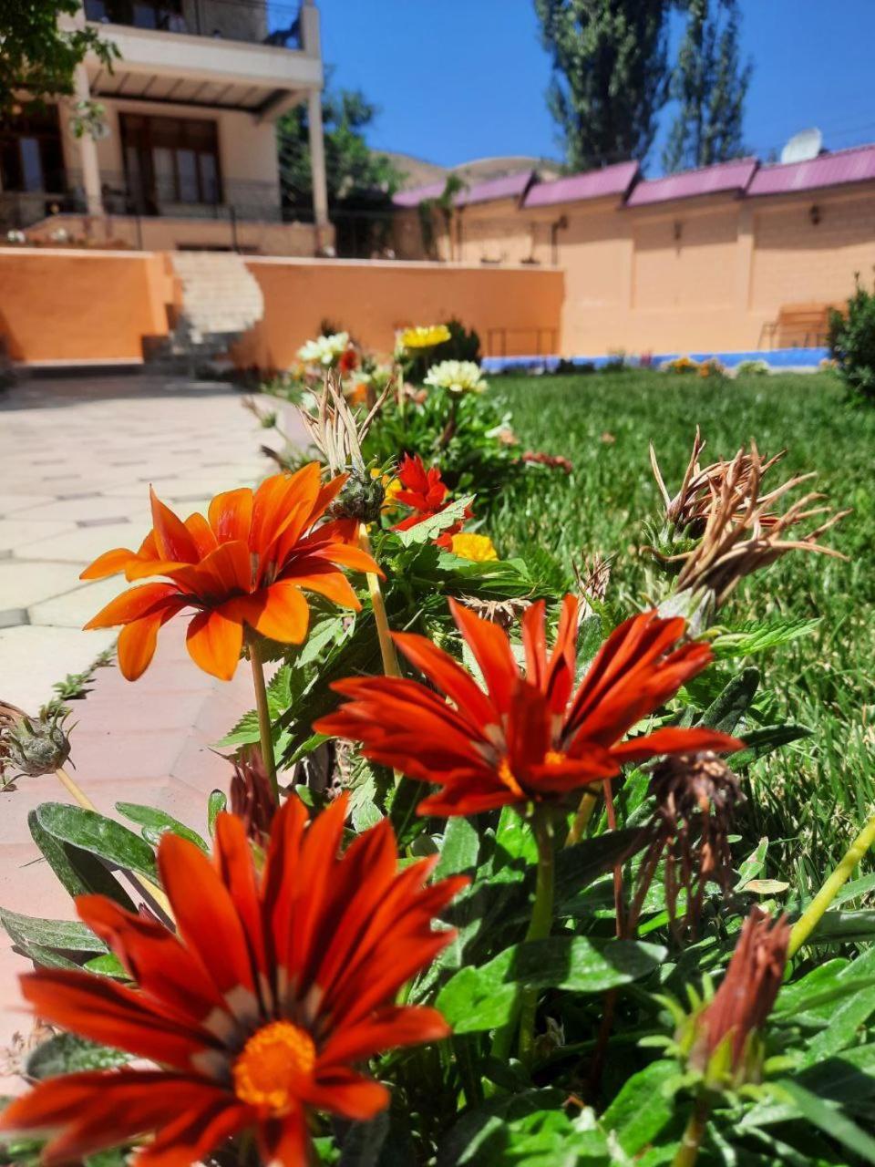 Зона Отдых Apachi В Горах Чимган Hotel Exterior foto